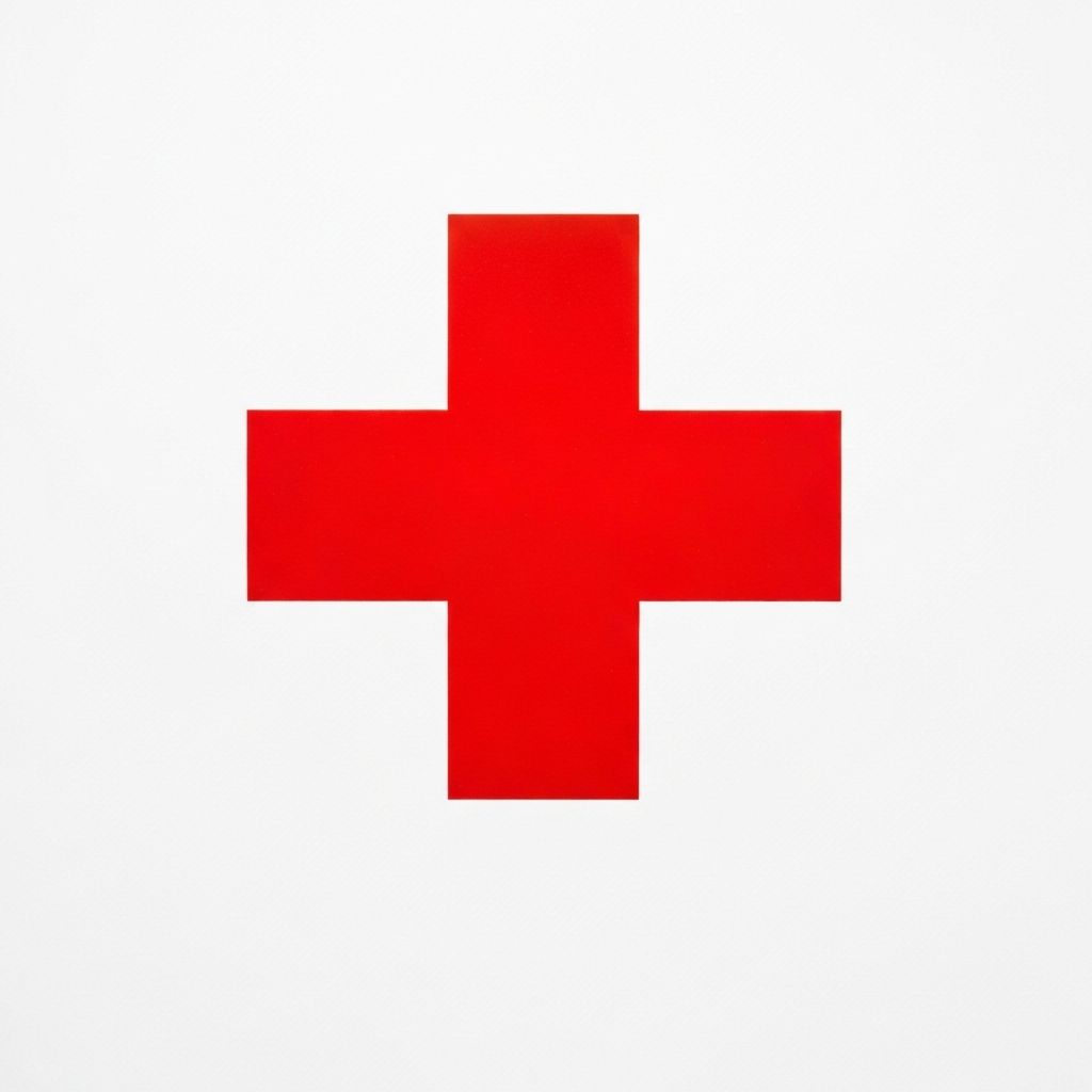 Red Cross certification